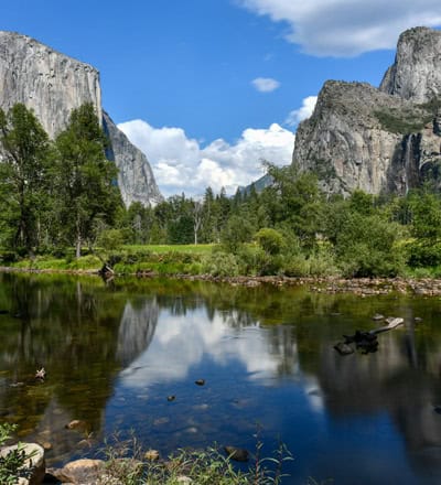 Yosemite Retreat Spring 2025