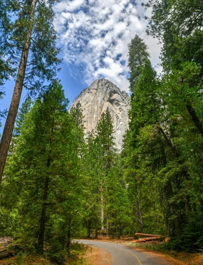 Why Visit Yosemite